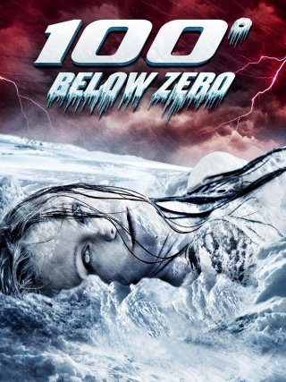 Locandina di 100 gradi sotto zero (2013)