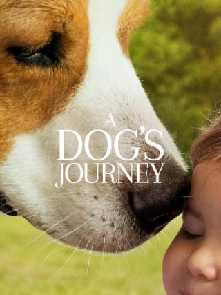 Locandina di A Dog's Journey (2019)