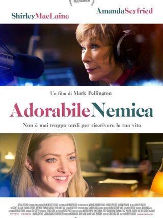 Locandina di Adorabile nemica - The Last Word (2017)
