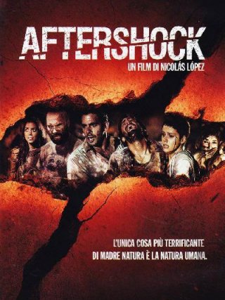 Locandina di Aftershock (2012)