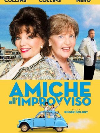 Locandina di Amiche all'improvviso (2017)