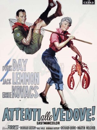 Locandina di Attenti alle vedove (1959)