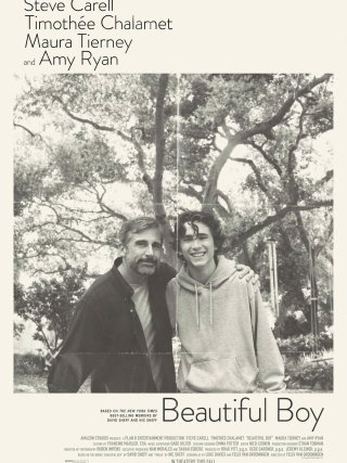 Locandina di Beautiful Boy (2018)