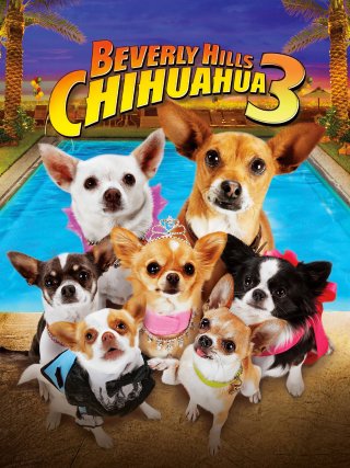 Locandina di Beverly Hills Chihuahua 3 - Viva La Fiesta (2012)