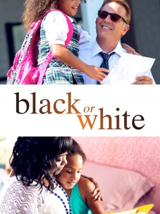 Locandina di Black or White (2014)