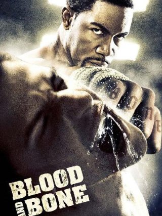 Locandina di Blood and Bone (2009)