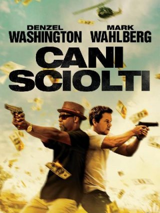 Locandina di Cani sciolti (2013)