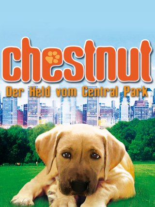 Locandina di Chestnut - L'eroe di Central Park (2004)