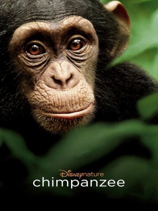 Locandina di Chimpanzee (2012)