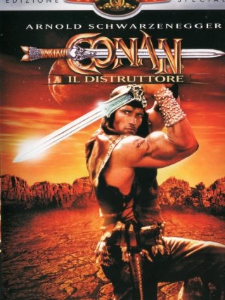 Locandina di Conan il distruttore (1984)