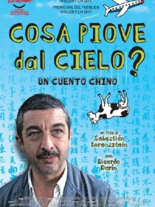 Locandina di Cosa piove dal cielo? (2011)