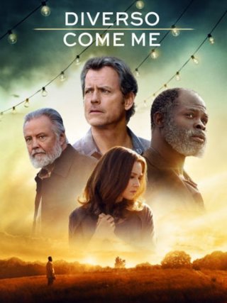 Locandina di Diverso come me (2017)