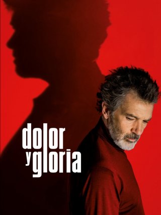 Locandina di Dolor y gloria (2019)