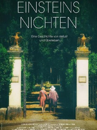 Locandina di Einsteins Nichten (2017)
