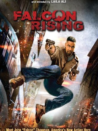 Locandina di Falcon Rising (2014)