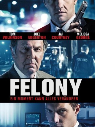 Locandina di Felony (2014)