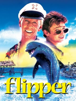 Locandina di Flipper (1996)