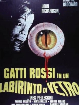Locandina di Gatti rossi in un labirinto di vetro (1975)