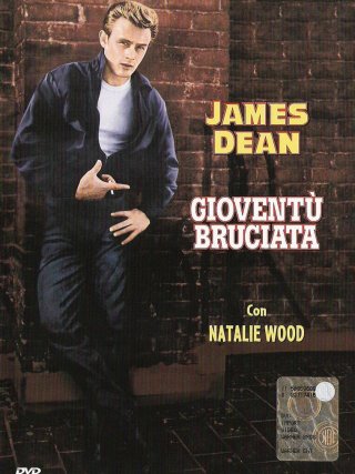 Locandina di Gioventù bruciata (1955)