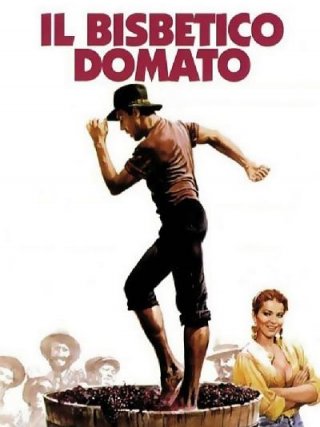Locandina di Il bisbetico domato (1980)