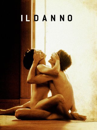 Locandina di Il danno (1992)
