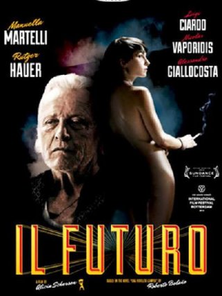 Locandina di Il futuro (2013)