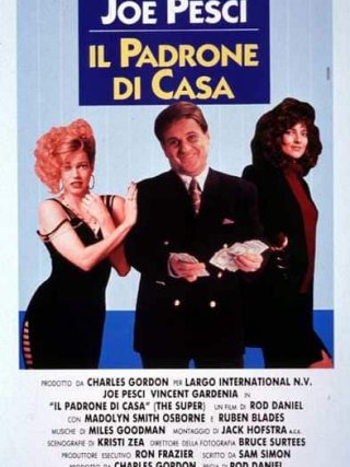 Locandina di Il padrone di casa (1991)
