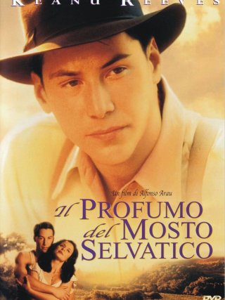 Locandina di Il profumo del mosto selvatico (1995)