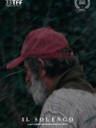 Locandina di Il Solengo (2015)