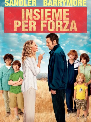 Locandina di Insieme per forza (2014)