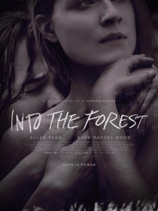 Locandina di Into the Forest (2016)