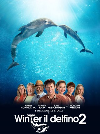 Locandina di L'incredibile storia di Winter il delfino 2 (2014)