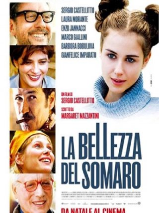 Locandina di La Bellezza Del Somaro (2010)