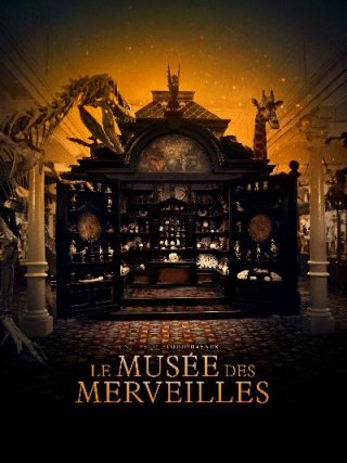 Locandina di La stanza delle meraviglie (2017)