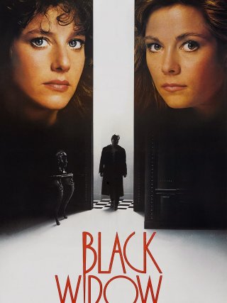 Locandina di La vedova nera (1987)