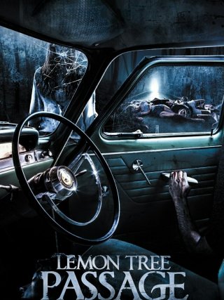 Locandina di Lemon Tree Passage (2014)