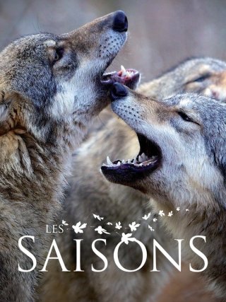 Locandina di Les Saisons (2015)