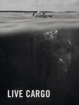 Locandina di Live Cargo (2016)