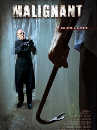 Locandina di Malignant (2013)