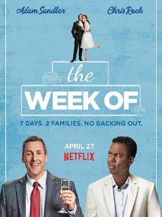 Locandina di Matrimonio a Long Island (2018)