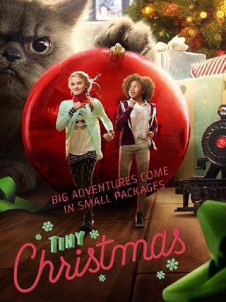 Locandina di Mini Natale (2017)