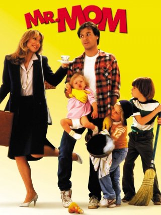 Locandina di Mister mamma (1983)