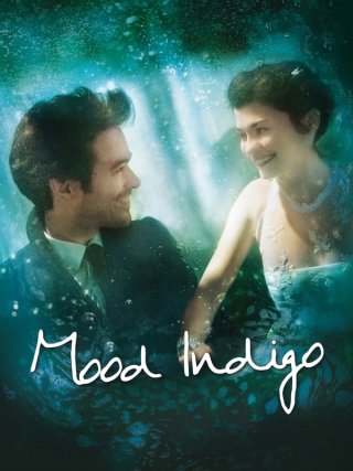 Locandina di Mood indigo - La schiuma dei giorni (2013)