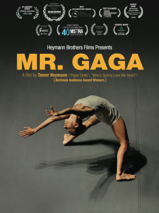 Locandina di Mr. Gaga (2017)