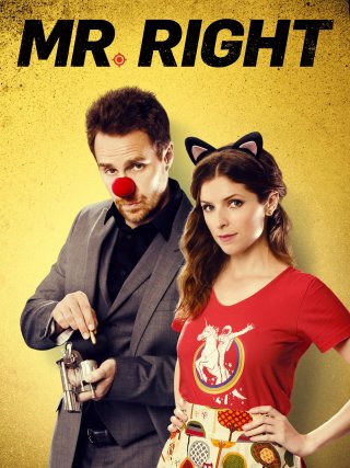 Locandina di Mr. Right (2015)