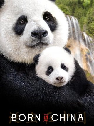 Locandina di Nati in Cina (2016)