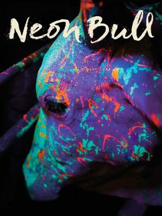 Locandina di Neon Bull (2015)