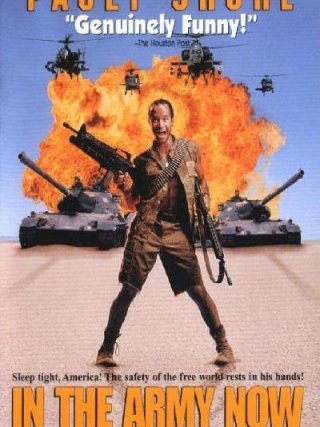 Locandina di Operazione Desert Storm (1994)