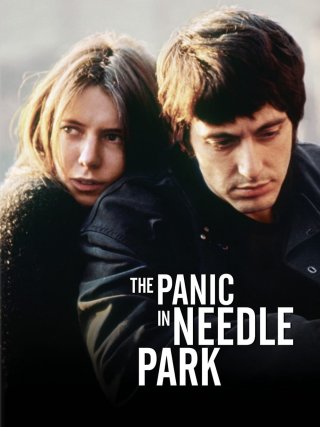 Locandina di Panico a Needle Park (1971)
