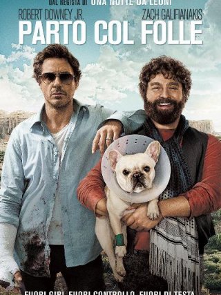 Locandina di Parto col folle (2010)